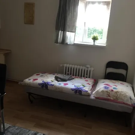 Maja ليبيريتش